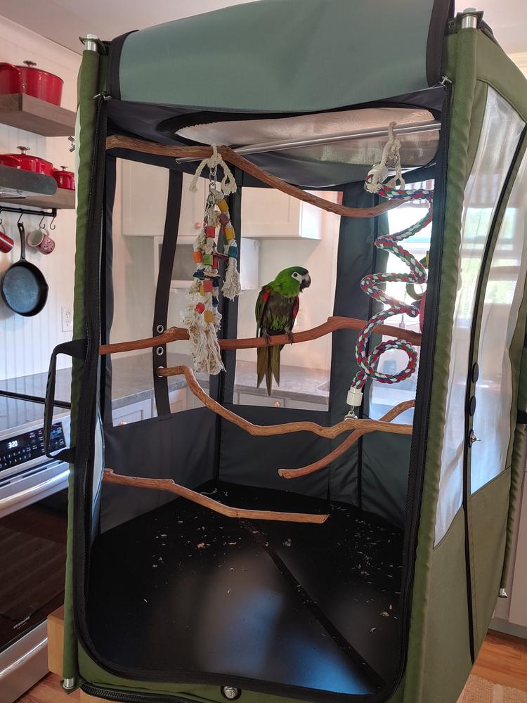 Bird Travel Aviary  - Customer Photo From ALYSSA
