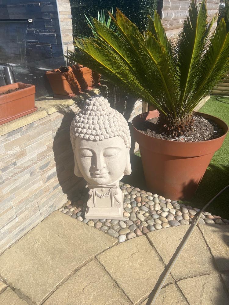 LAMPORT 38 - Customer Photo From kim taylor