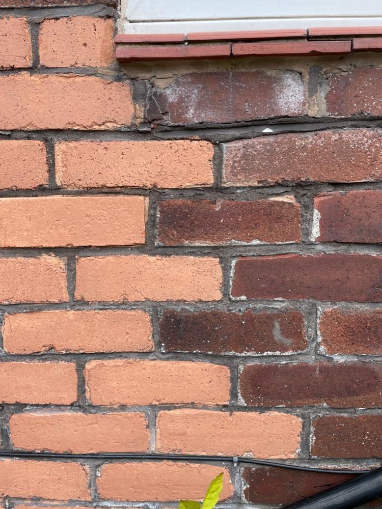 Brick Tint - Customer Photo From Anonymous