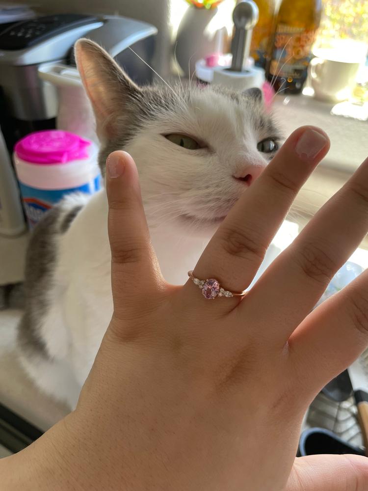  - Customer Photo From cassie crocker