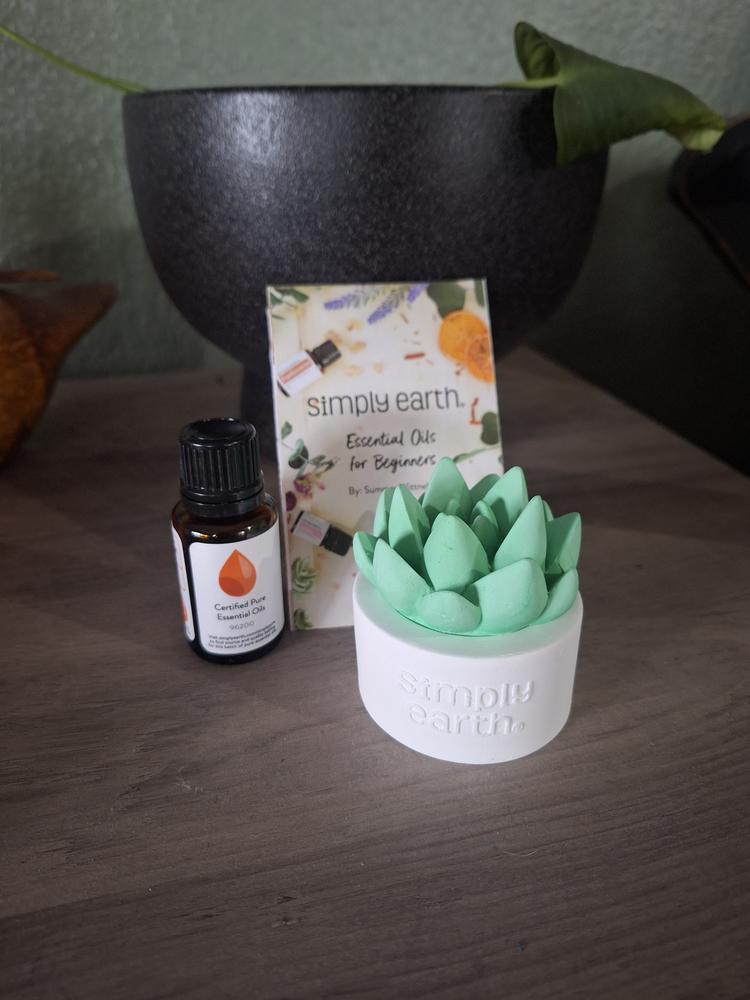 Simply Earth | Succulent Essential Oil Diffuser