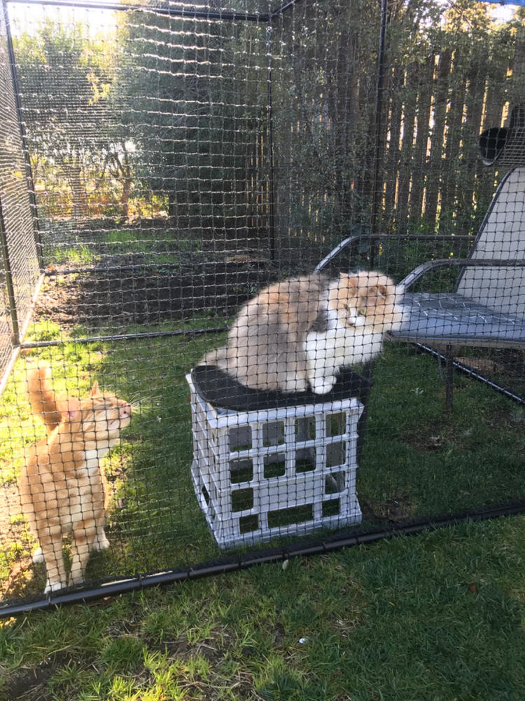 Double Size 3.6m Free-Standing Cat Enclosure – Catnets