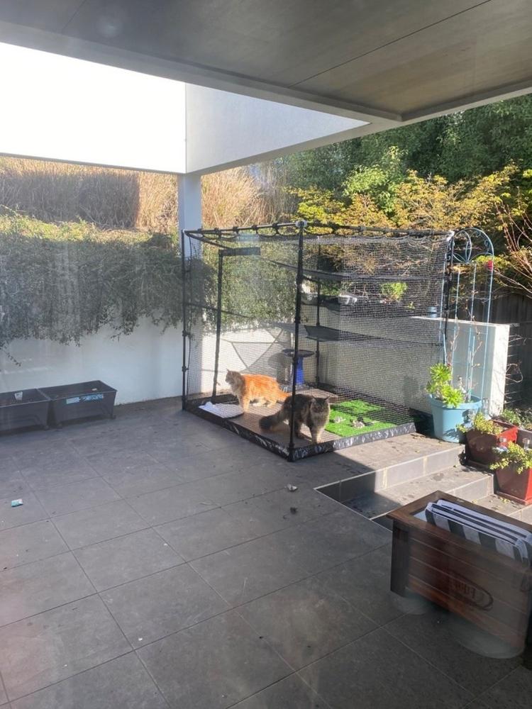 Premium Portable Cat Enclosure 1.8m