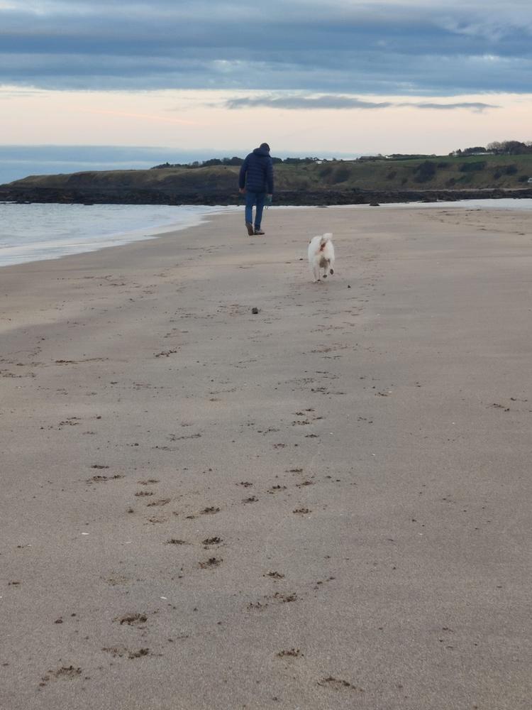 Beach Memory Couple & Dog Necklace - Customer Photo From Martin Hillas-Smith