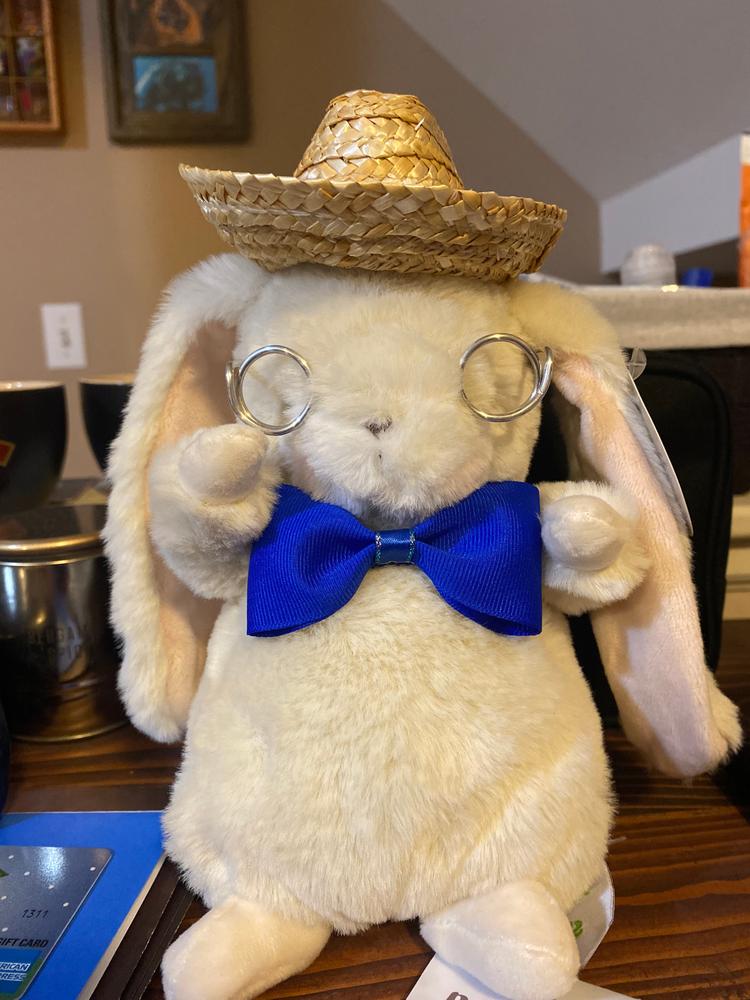 Tiny Nibble 8" Bunny - Cream - Customer Photo From Holly