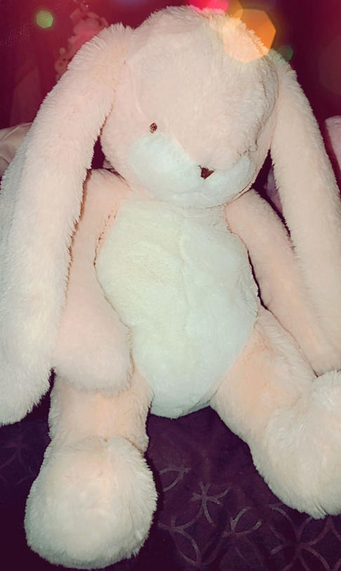 Sweet Nibble 16" Bunny - Pink - Customer Photo From Kelsey F.