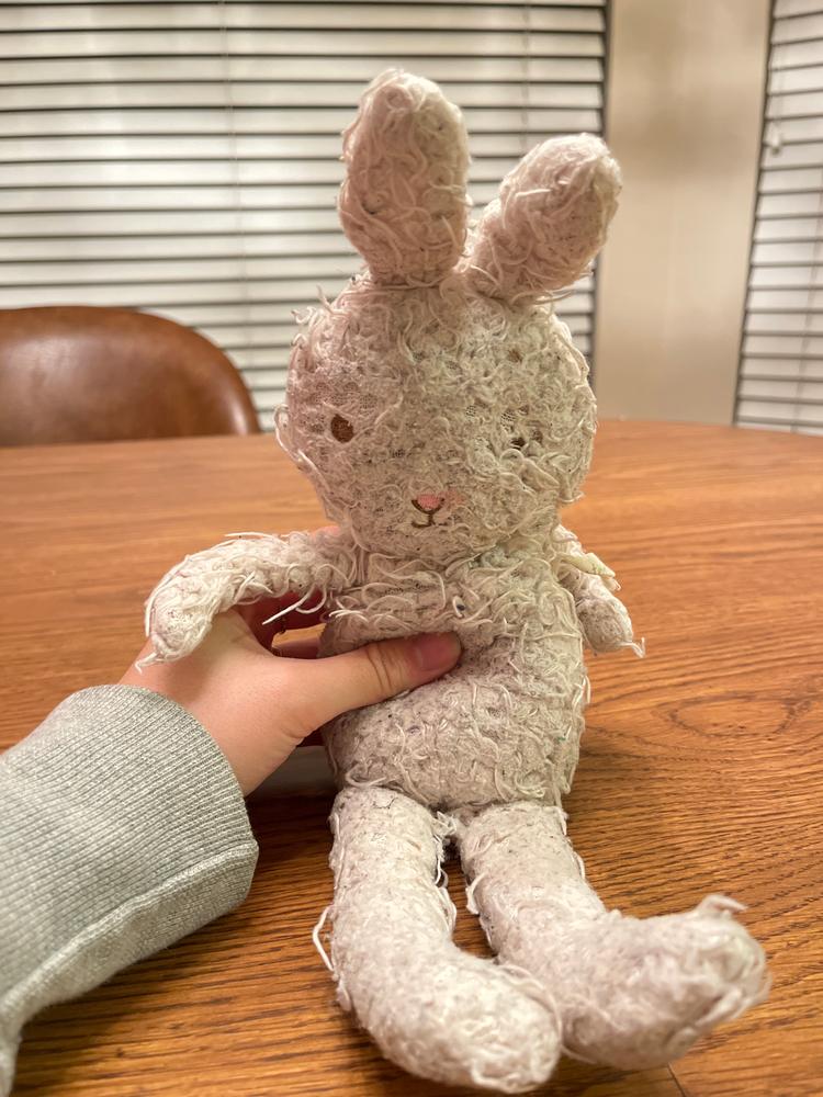 Shaggy Hoppy the Bunny - Customer Photo From Jade