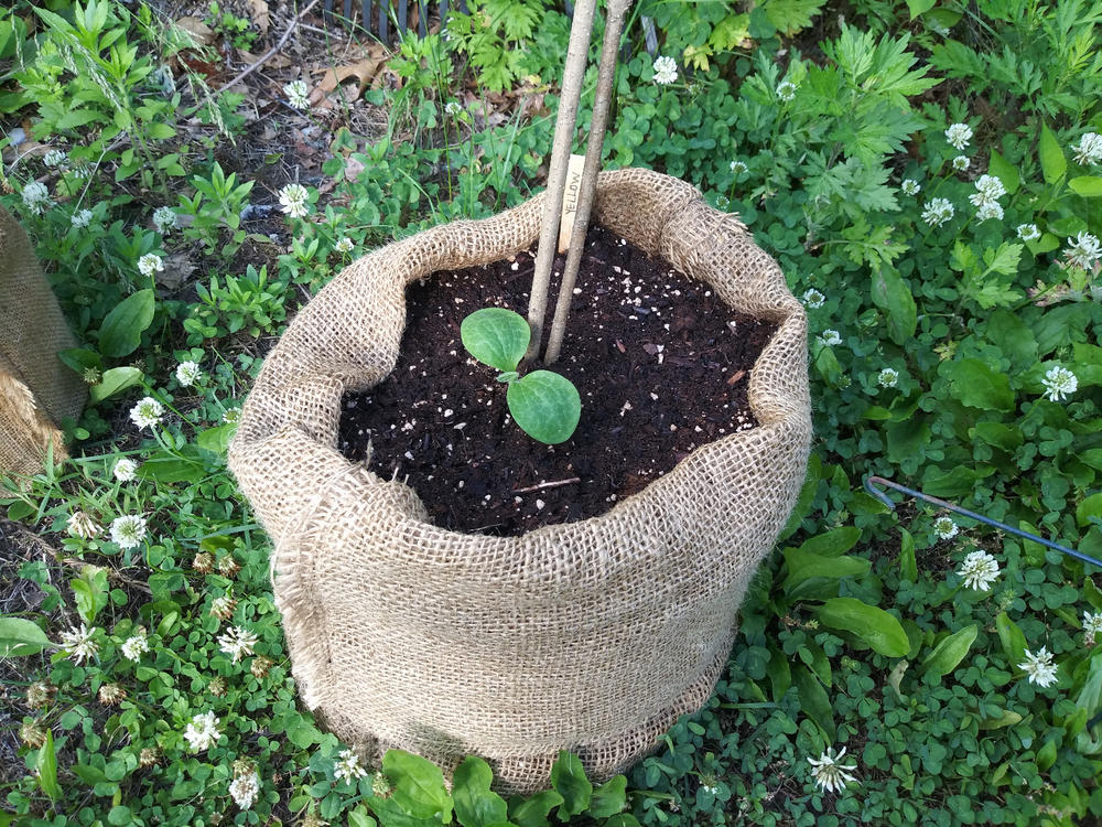 12 x 19 Small Burlap Bags (50 Lb Capacity)