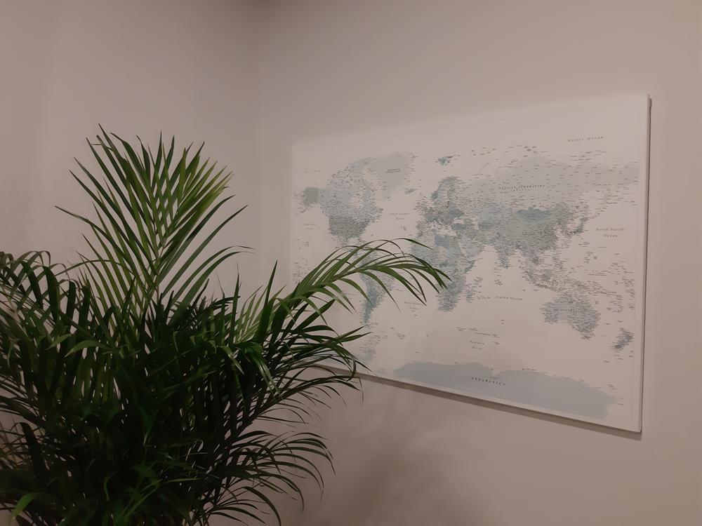 Pasaulio žemėlapis su smeigtukais - Dangiškas (Detalus) - Customer Photo From Vaida 