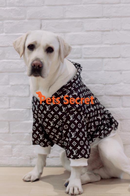 Large Dogs Winter Labrador Golden Retriever Winter Warm Clothes Samoyed  Thick Sweater