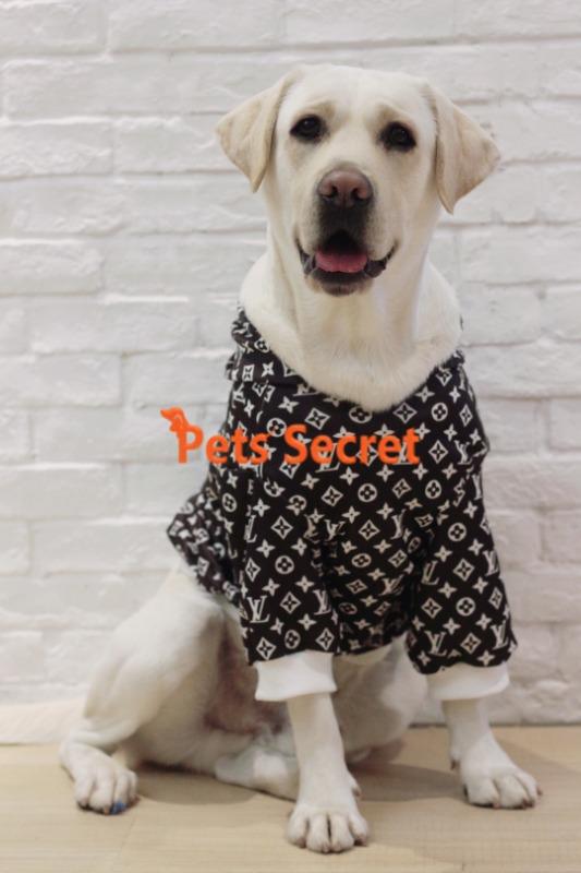 Large Dogs Winter Labrador Golden Retriever Winter Warm Clothes Samoyed  Thick Sweater