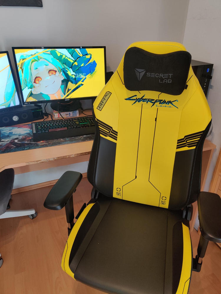 Secretlab TITAN Evo - Regular - Secretlab NEO™ Hybrid Leatherette - Customer Photo From Terence OBrien