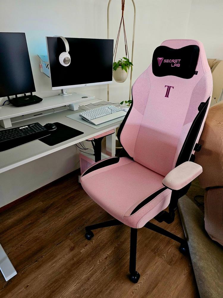 Secretlab TITAN Evo - XL - SoftWeave™ Plus Fabric (0108) - Customer Photo From Tara Sekuloff