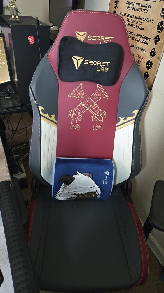 Secretlab TITAN Evo - XL - Secretlab NEO™ Hybrid Leatherette - Customer Photo From Isaac Alves