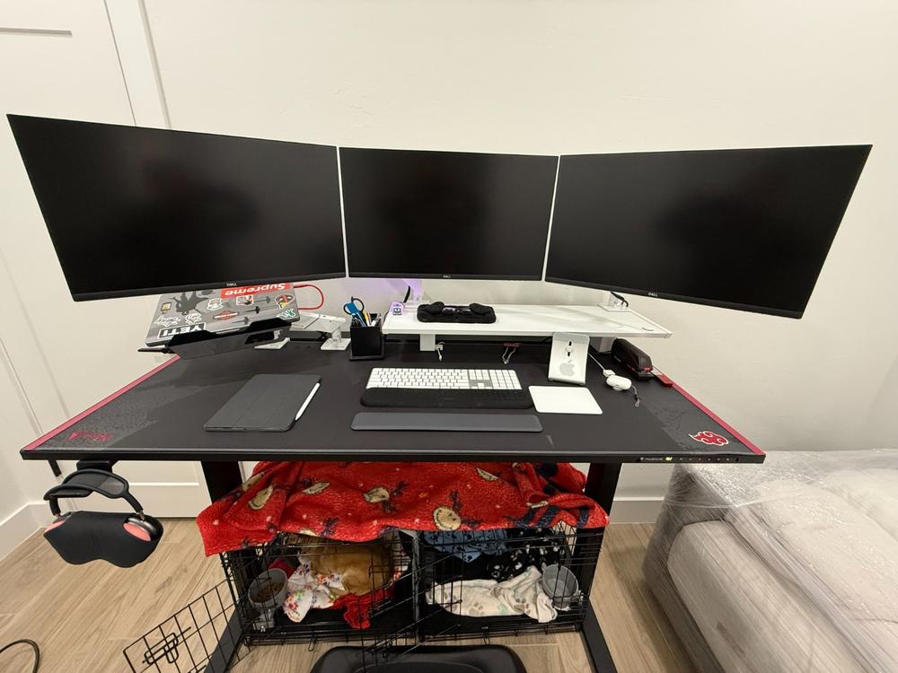 Secretlab MAGNUS Pro - Box 2 - Motorised Leg Columns (Plug Type B) - Customer Photo From Scott Nakamura