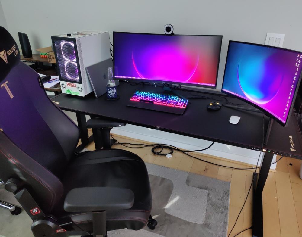 Secretlab MAGNUS Pro XL - Box 2 - Motorised Leg Columns (Plug Type B) - Customer Photo From Carter Dewey