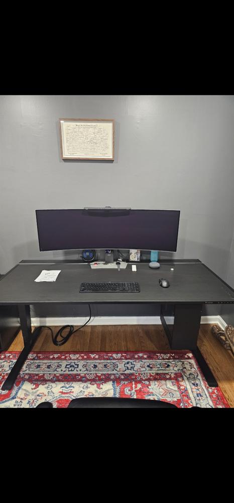 Secretlab MAGNUS Monitor Arm (Heavy Duty Edition) - Customer Photo From Joseph Parker