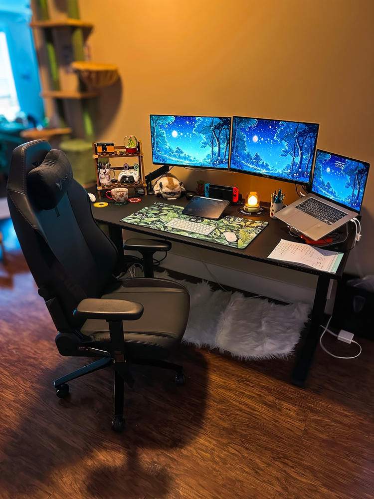 Secretlab TITAN Evo - Regular - NEO Hybrid Leatherette (0107) - Customer Photo From Anna Oberkircher