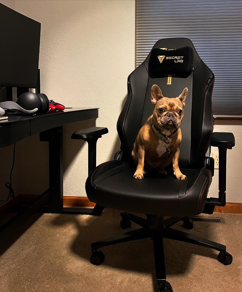 Secretlab TITAN Evo - Regular - NEO Hybrid Leatherette (0107) - Customer Photo From Mindy Hahn