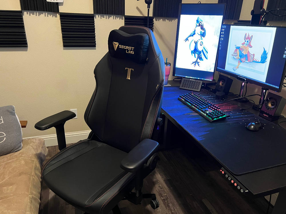 Secretlab TITAN Evo - Regular - NEO Hybrid Leatherette (0107) - Customer Photo From Karen Low