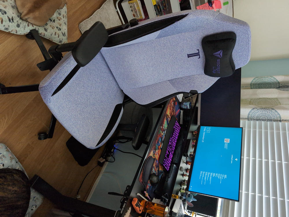 Secretlab TITAN Evo - XL - SoftWeave™ Plus Fabric (0108) - Customer Photo From Laura Newlun