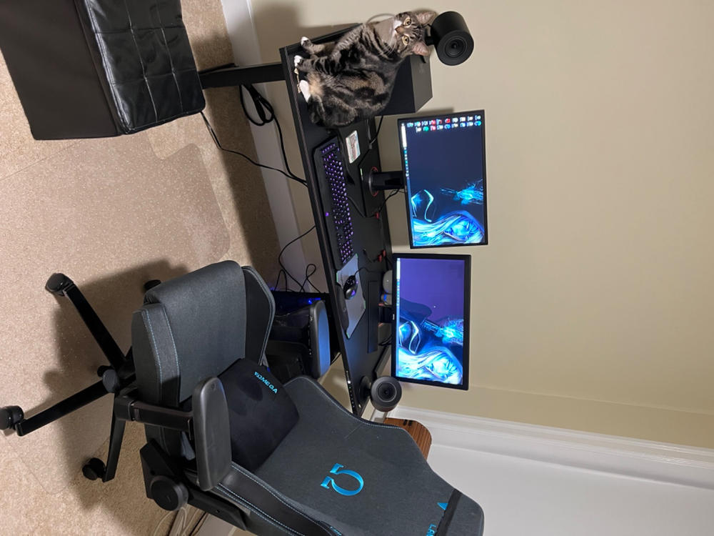 Secretlab Magnus Pro 1.5m Motorised Leg Columns (Type-B) - Box 2 - Customer Photo From Ian Wolfe