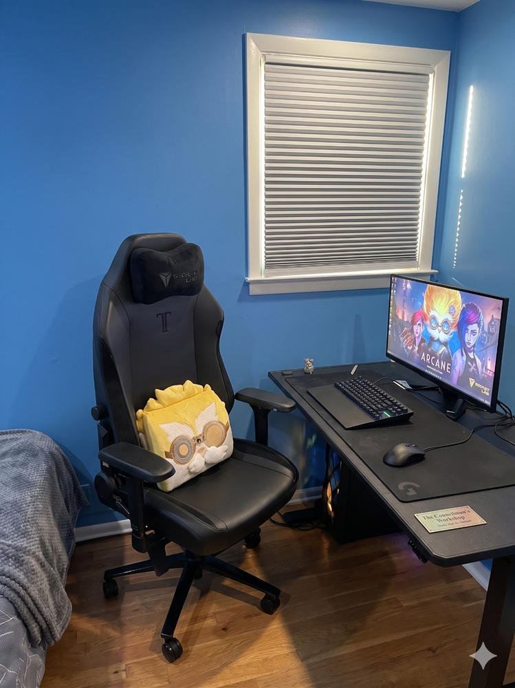 Secretlab Memory Foam Lumbar Pillow - Arcane Heimerdinger Edition - Customer Photo From Daniel Zuckman