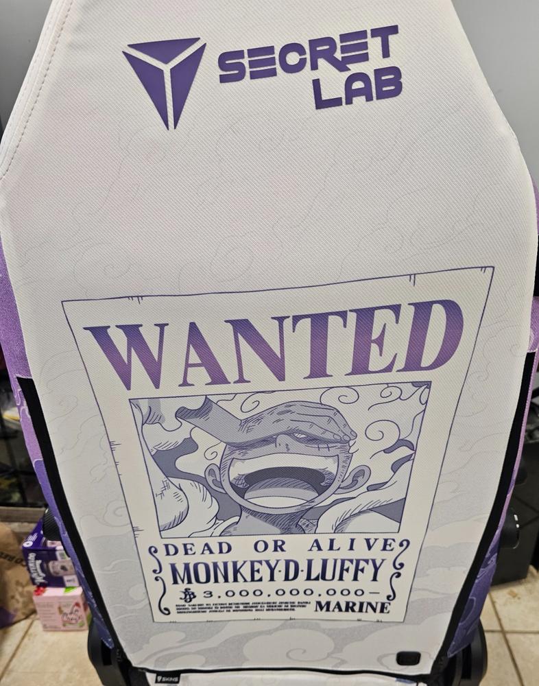 Secretlab Memory Foam Lumbar Pillow - One Piece Edition - Customer Photo From Charles Walters