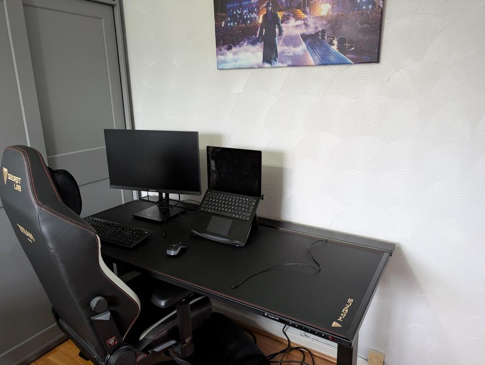 Secretlab MAGNUS Pro - Box 2 - Motorised Leg Columns (Plug Type G) - Customer Photo From Brendan Moseley