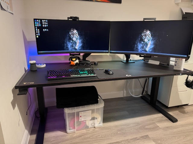 Secretlab MAGNUS Monitor Arm (Heavy Duty Edition) - Customer Photo From Sarah Laban