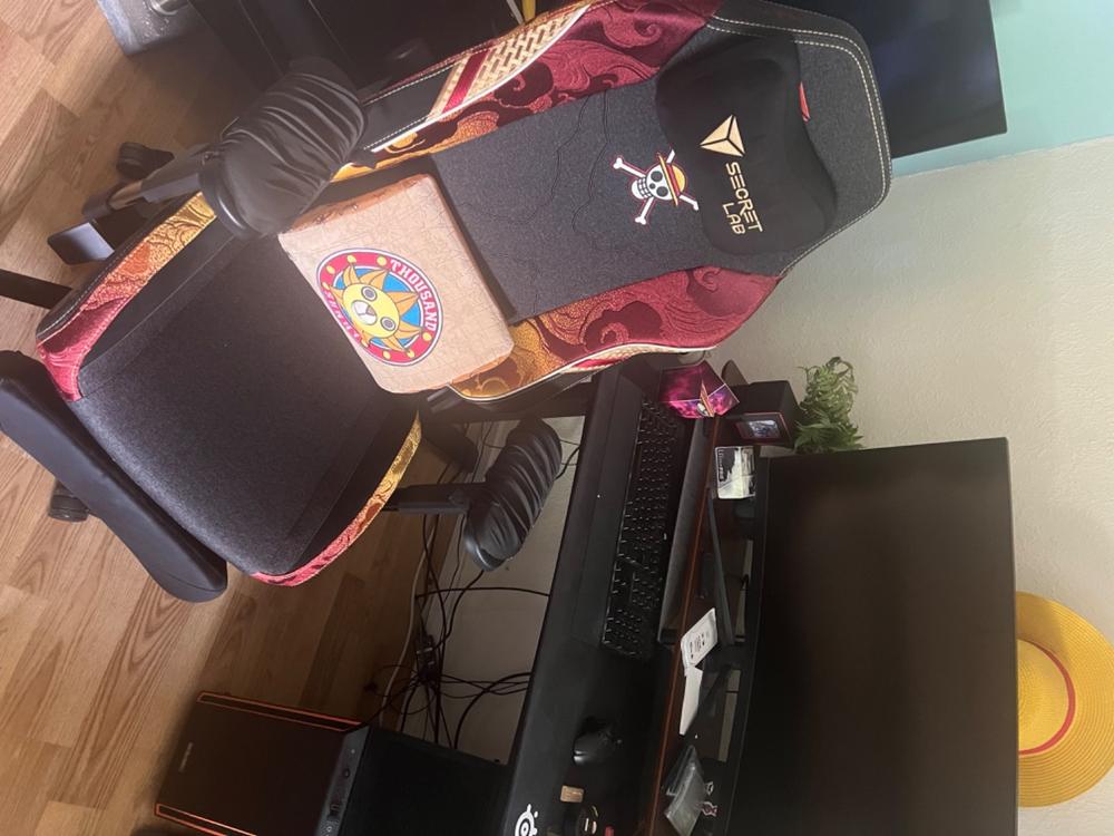 Secretlab Memory Foam Lumbar Pillow - One Piece Edition - Customer Photo From bart Battello