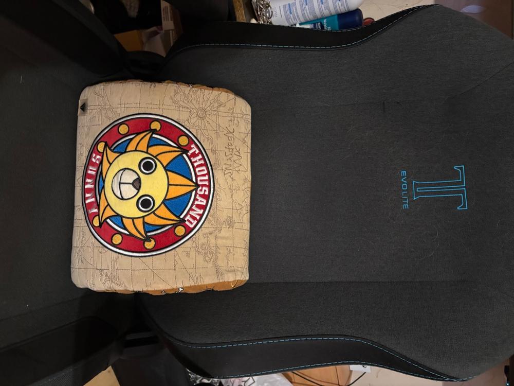 Secretlab Memory Foam Lumbar Pillow - One Piece Edition - Customer Photo From Laura Blauzdyte