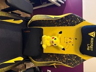 Secretlab Memory Foam Lumbar Pillow - One Piece Edition - Customer Photo From Catherine Grima