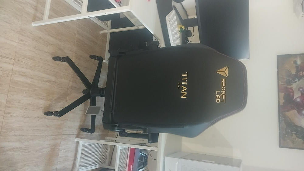 Secretlab TITAN Evo - Regular - Secretlab NEO™ Hybrid Leatherette - Customer Photo From Raúl Dalmau Moreno