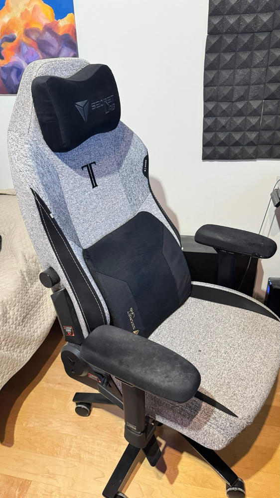 Secretlab TITAN Evo 2022 Series - Small - Secretlab SoftWeave® Plus Fabric - Customer Photo From Sandy Zeng