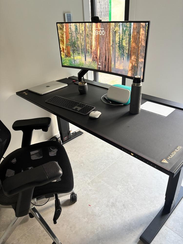 Secretlab MAGNUS Pro - Box 2 - Motorised Leg Columns (Plug Type F) - Customer Photo From Julian Jares