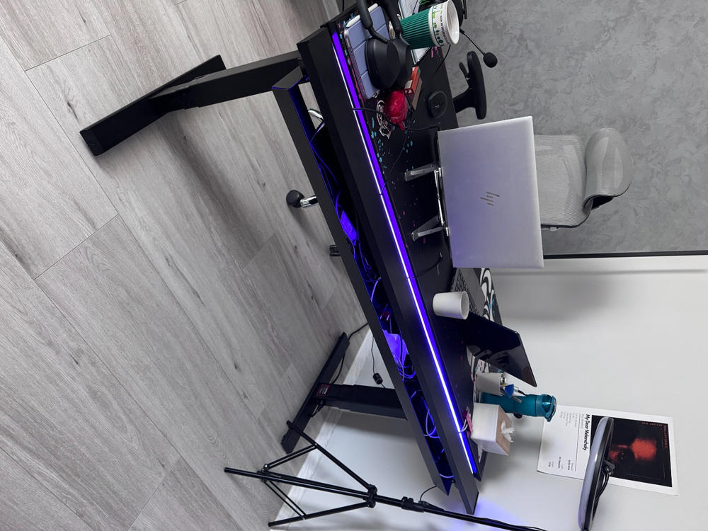 Secretlab MAGNUS Pro - Box 2 - Motorised Leg Columns (Plug Type F) - Customer Photo From Anastasiia Chupryna