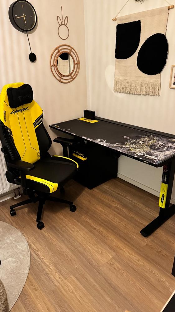 Secretlab MAGNUS Pro - Box 2 - Motorised Leg Columns (Plug Type F) - Customer Photo From Christian Reijntjes