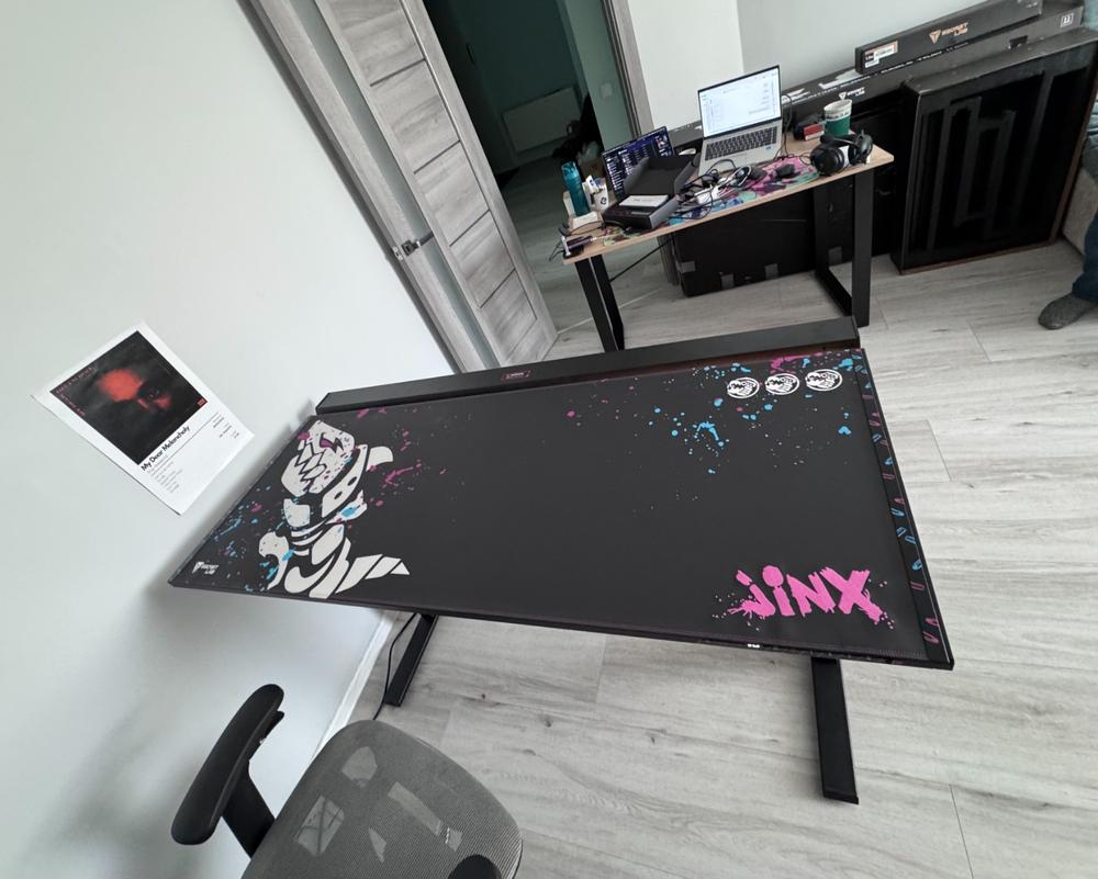 Secretlab MAGNUS Pro - Box 2 - Motorised Leg Columns (Plug Type F) - Customer Photo From Anastasiia Chupryna