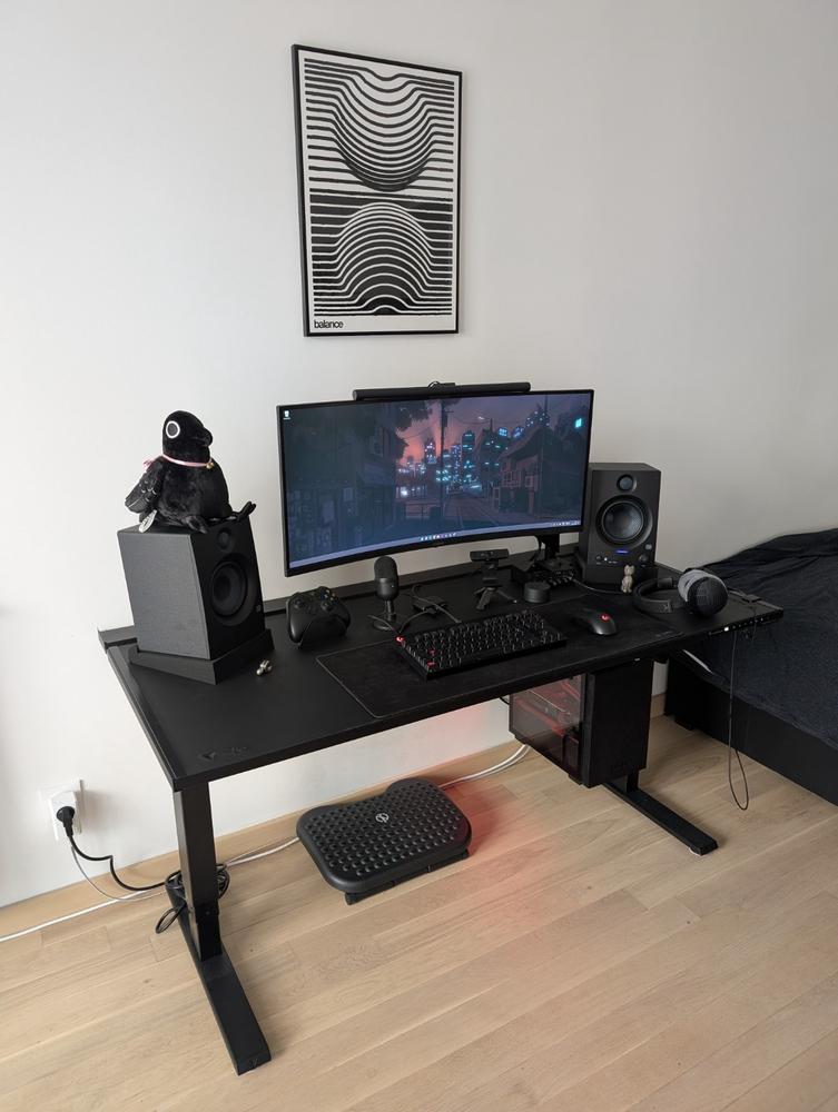 Secretlab MAGNUS Pro - Box 2 - Motorised Leg Columns (Plug Type F) - Customer Photo From Daniel Oviedo Segura