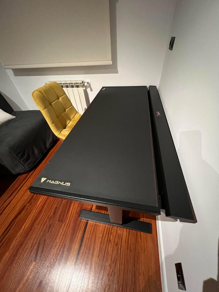 Secretlab MAGNUS Pro - Box 2 - Motorised Leg Columns (Plug Type F) - Customer Photo From HECTOR MARTIN BERGUA