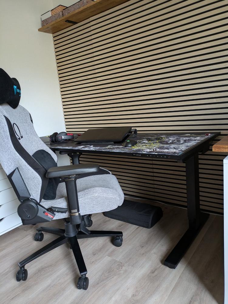 Secretlab MAGNUS Pro XL - Box 2 - Motorised Leg Columns (Plug Type F) - Customer Photo From Anna Janzen