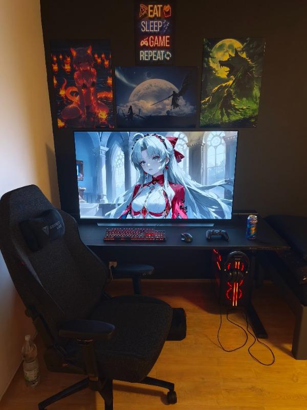 Secretlab MAGNUS Pro XL - Box 2 - Motorised Leg Columns (Plug Type F) - Customer Photo From Martin Šabáček