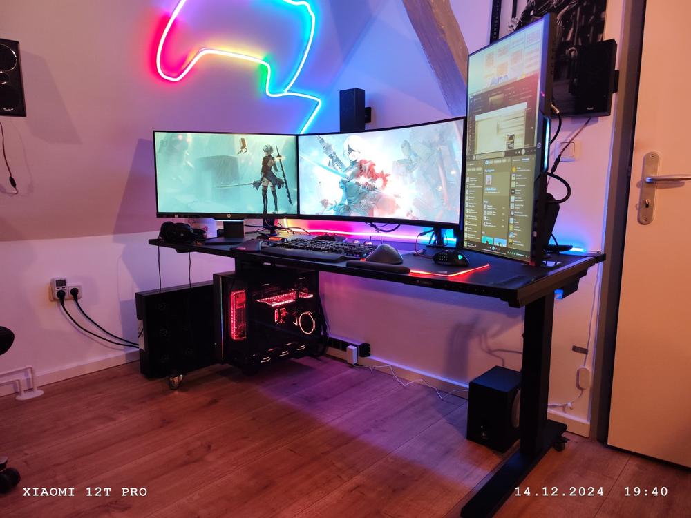 Secretlab MAGNUS Pro XL - Box 2 - Motorised Leg Columns (Plug Type F) - Customer Photo From Christian Gaulke