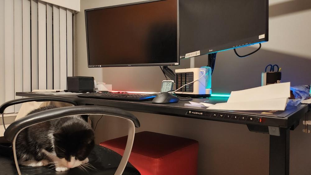 Secretlab MAGNUS Pro XL - Box 2 - Motorised Leg Columns (Plug Type F) - Customer Photo From Maritza Bisschop
