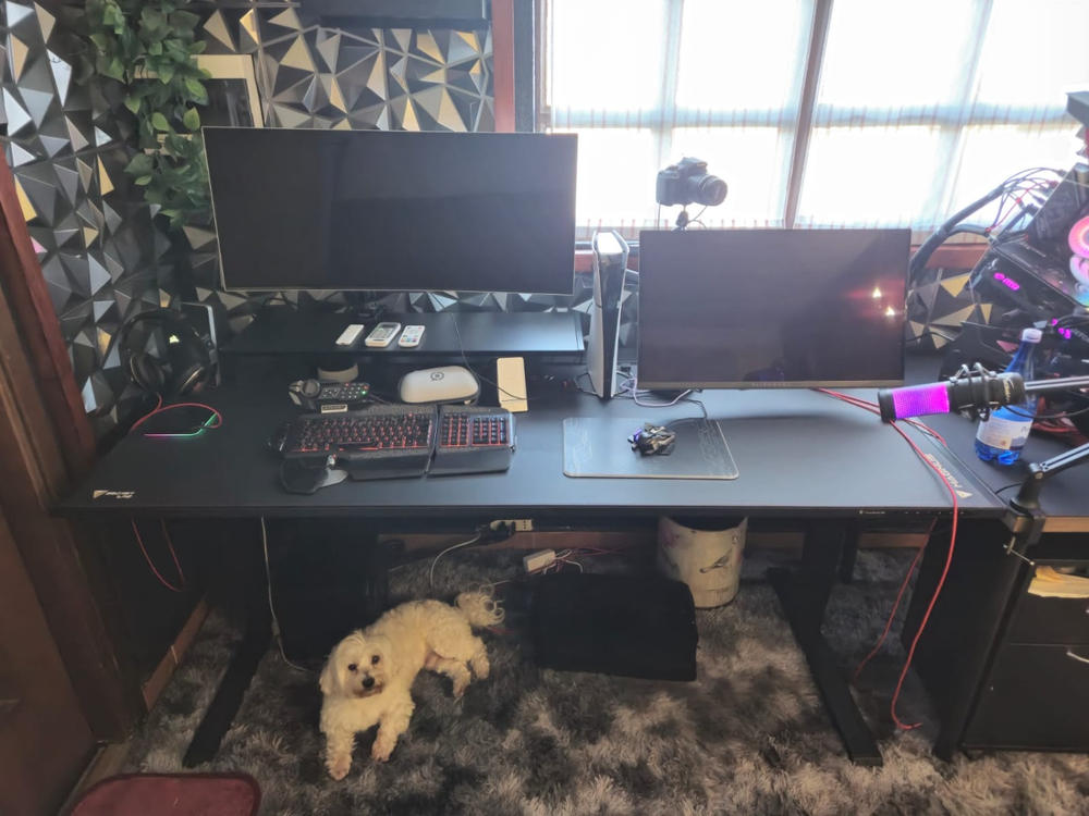 Secretlab MAGNUS Pro XL - Box 2 - Motorised Leg Columns (Plug Type F) - Customer Photo From Gabriele Alabiso