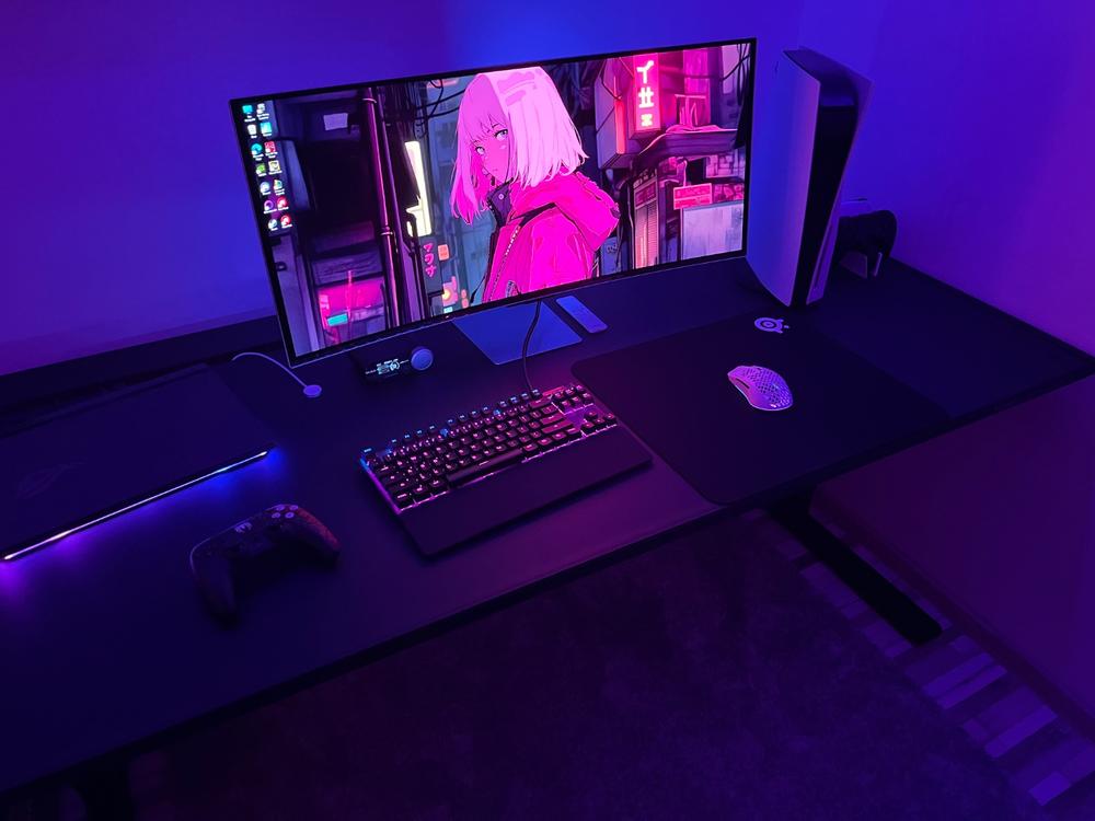 Secretlab MAGNUS Pro XL - Box 2 - Motorised Leg Columns (Plug Type F) - Customer Photo From Oskar Stusio