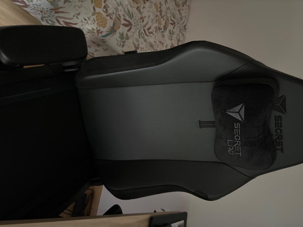 Secretlab TITAN Evo - Regular - NEO Hybrid Leatherette (0107) - Customer Photo From Beatriz García