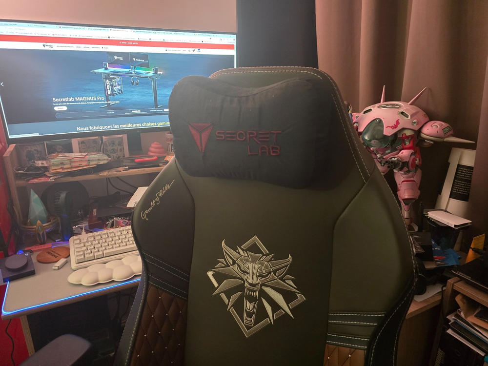 Secretlab TITAN Evo - Regular - NEO Hybrid Leatherette (0107) - Customer Photo From Stephane You