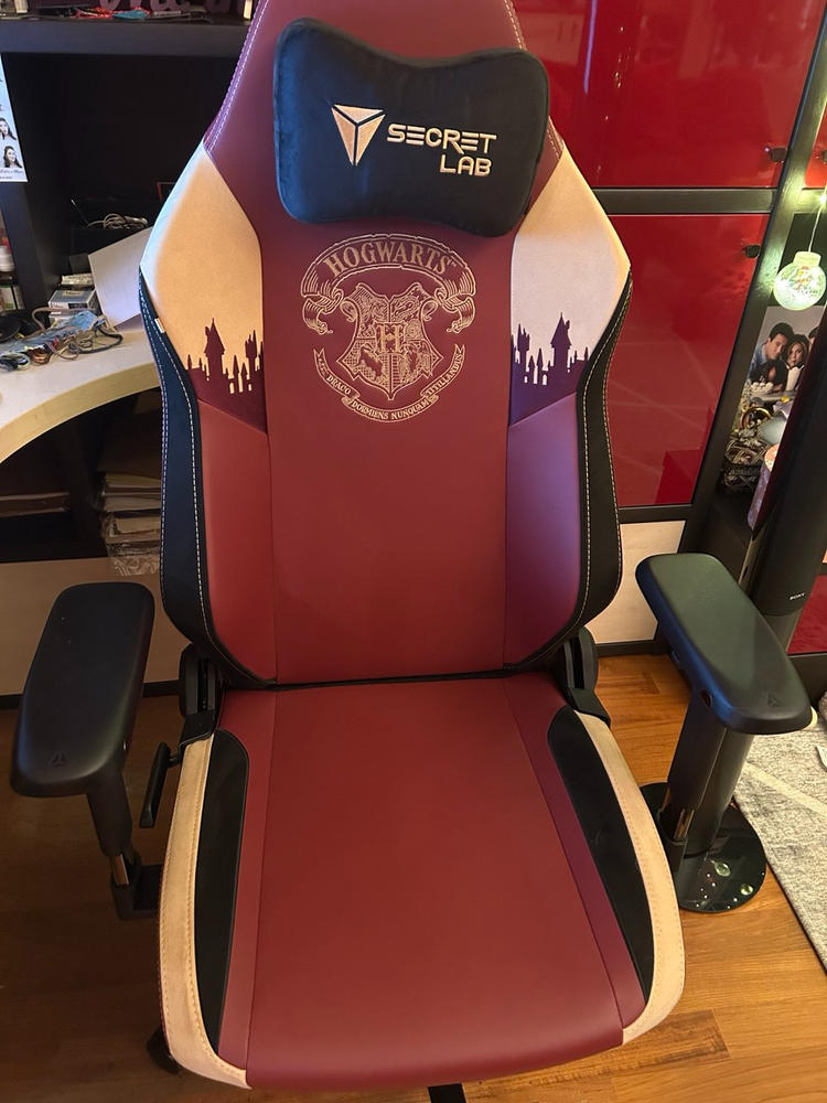 Secretlab TITAN Evo - Regular - NEO Hybrid Leatherette (0107) - Customer Photo From Alina Kirillina